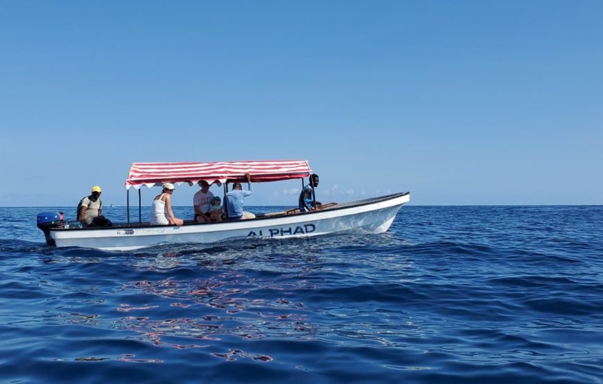 Full day Snorkeling Mnemba