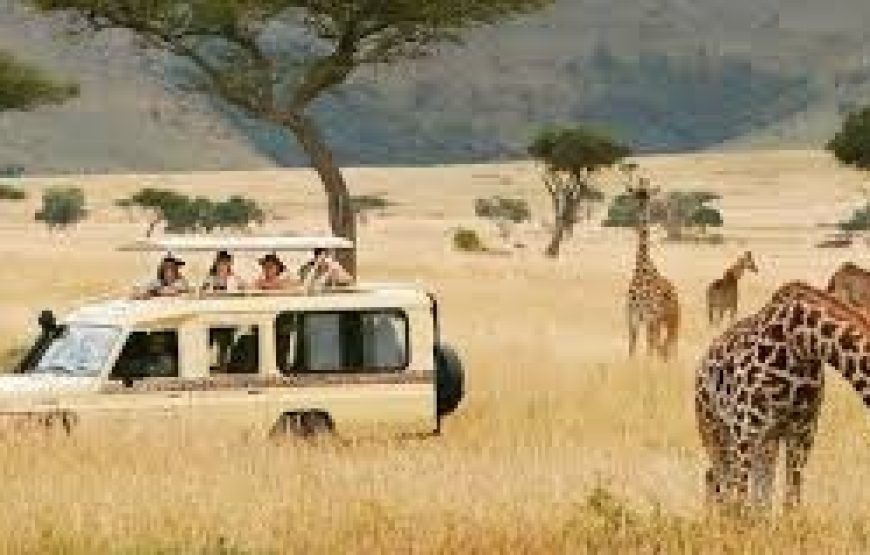 3 Days Big Five Tanzania Safari