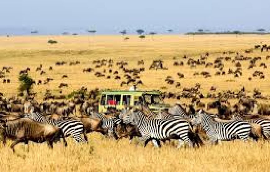 3 days 2 nights Serengeti from Zanzibar